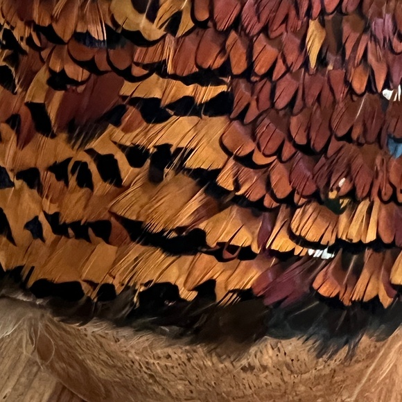 Vintage 1950s Pheasant Feather Bucket Hat main image 4